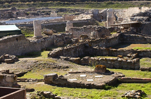 scavisibari